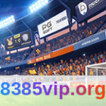 8385 - VIP: Tudo o que você precisa saber Article Image 1